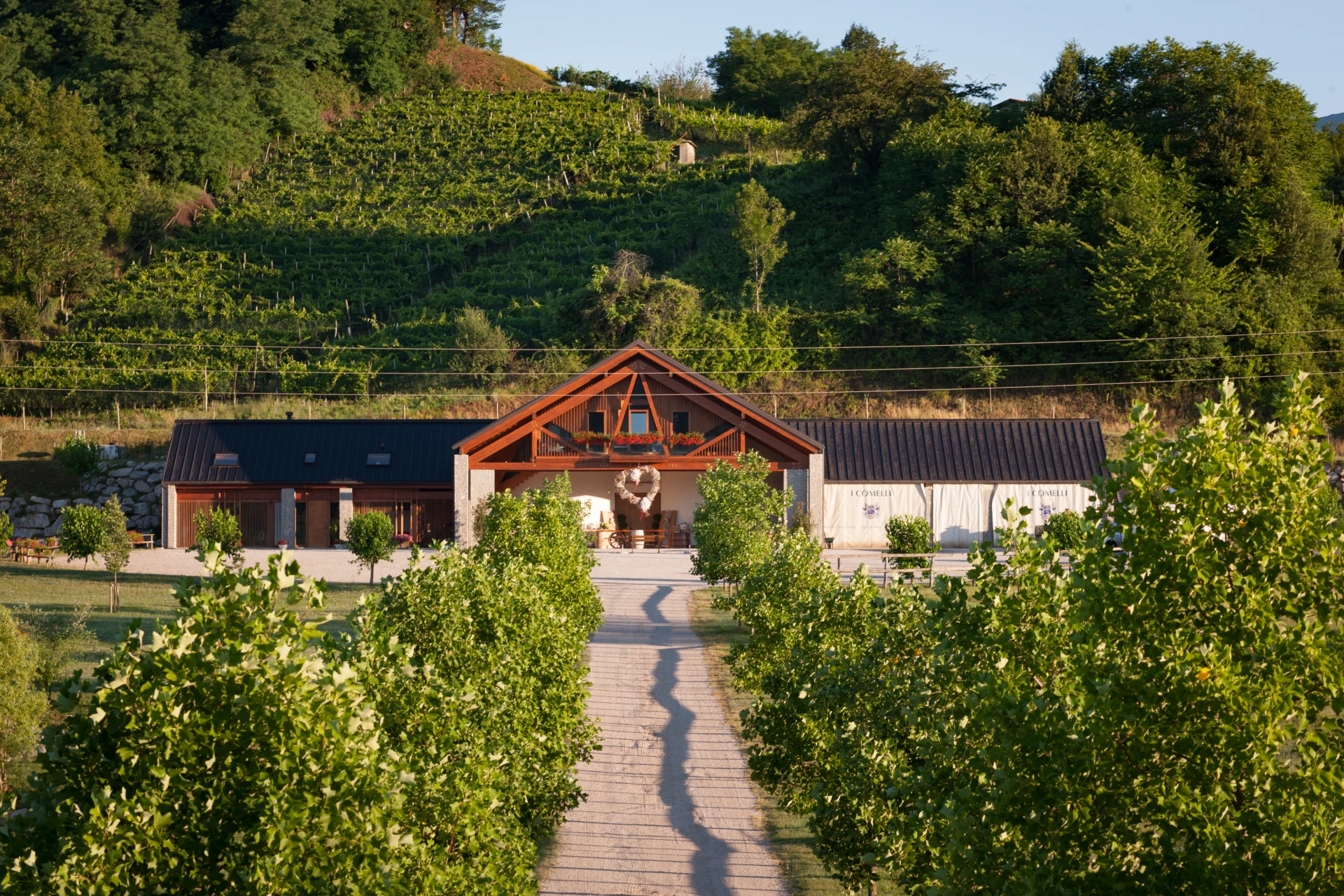 L’esterno della cantina I Comelli circondata dai vigneti di Nimis