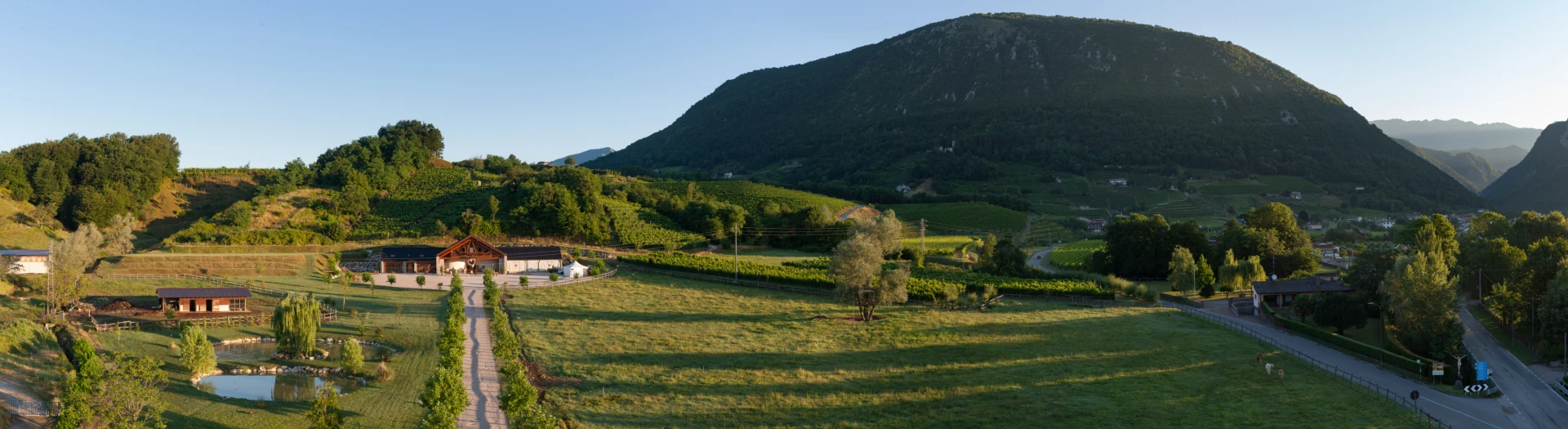 La cantina I Comelli immersa nel paesaggio di Nimis