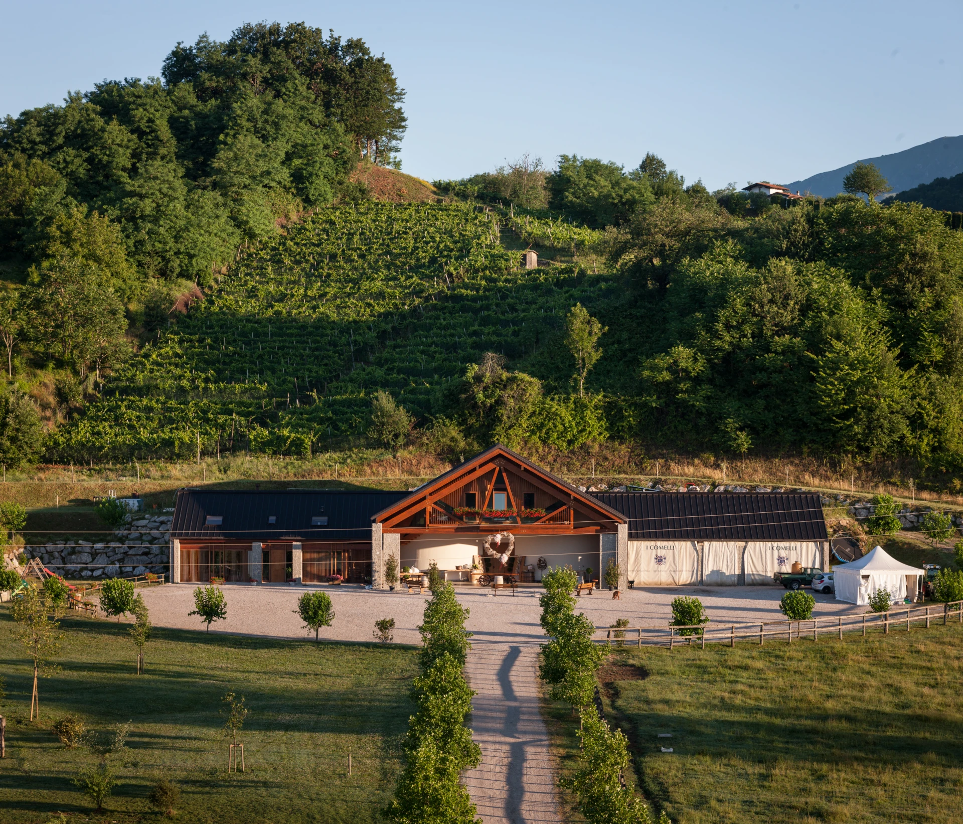 La tenuta I Comelli tra i vigneti e le colline di Nimis