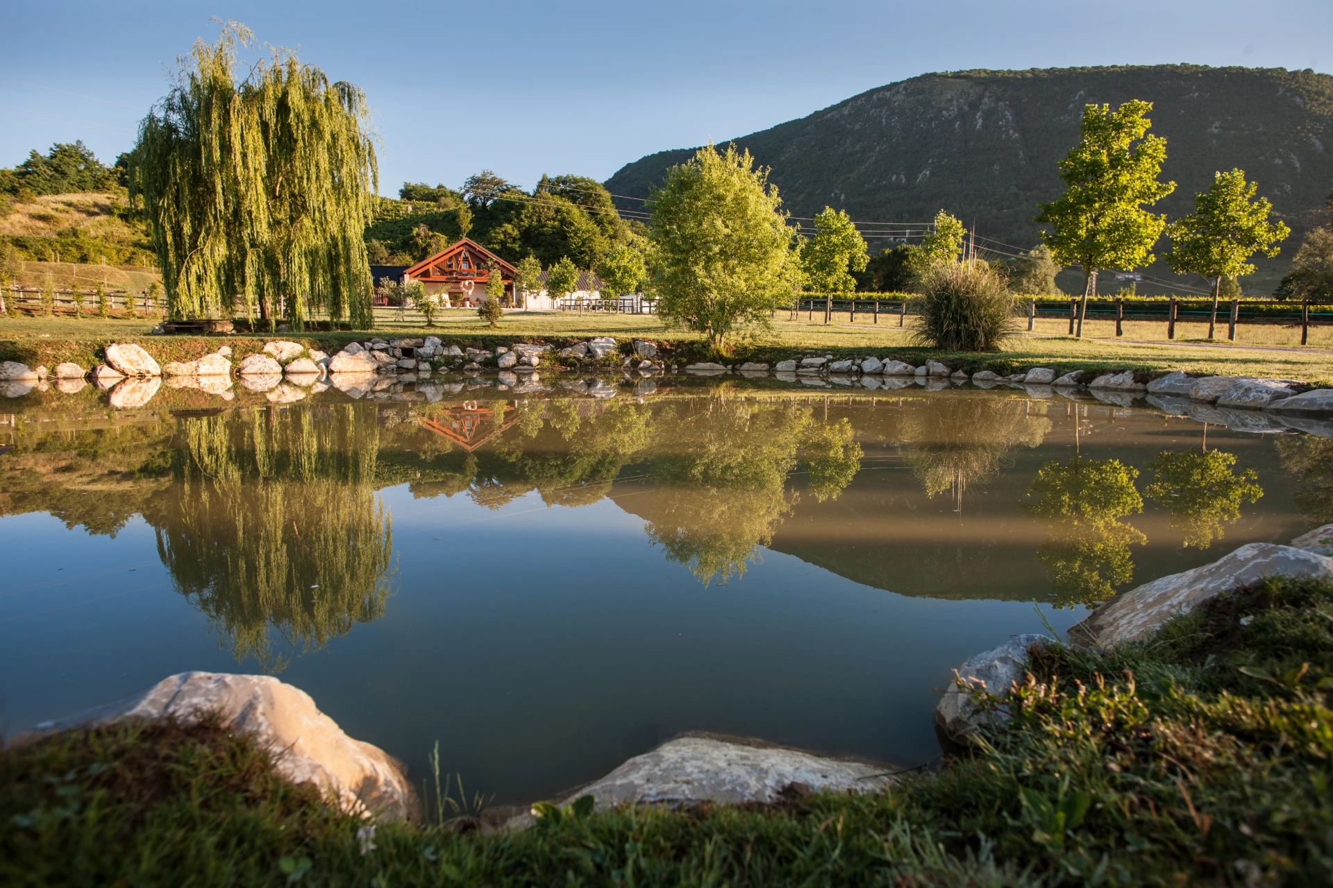 Il laghetto e il verde che circondano l’Agriturismo I Comelli