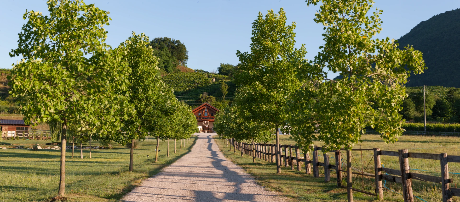 L’ingresso della cantina e dell’agriturismo I Comelli a Nimis